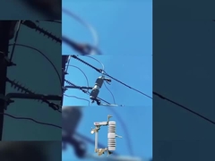 высококачественный предохранитель вырезанный 40,5 кВ полимер или керамический вырезанный предохранитель